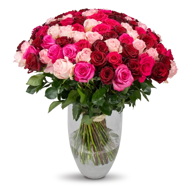 kytice ekvádorských růží 80 cm